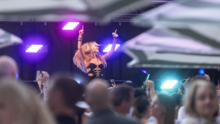 havana brown